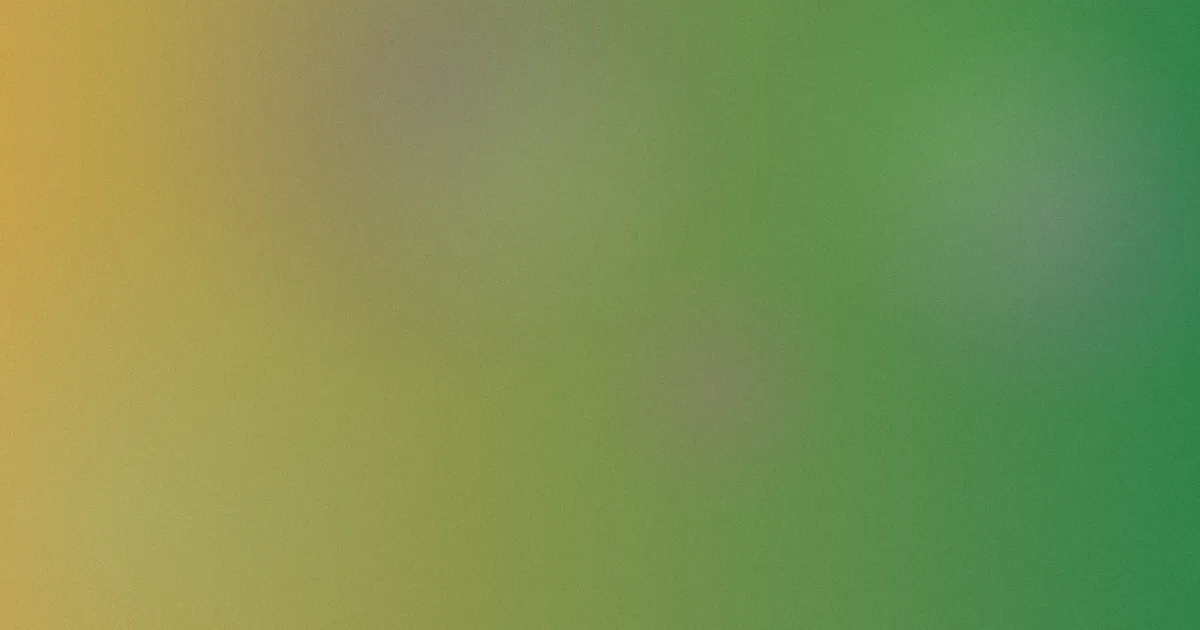 美国黄色网是什么：一文讲清